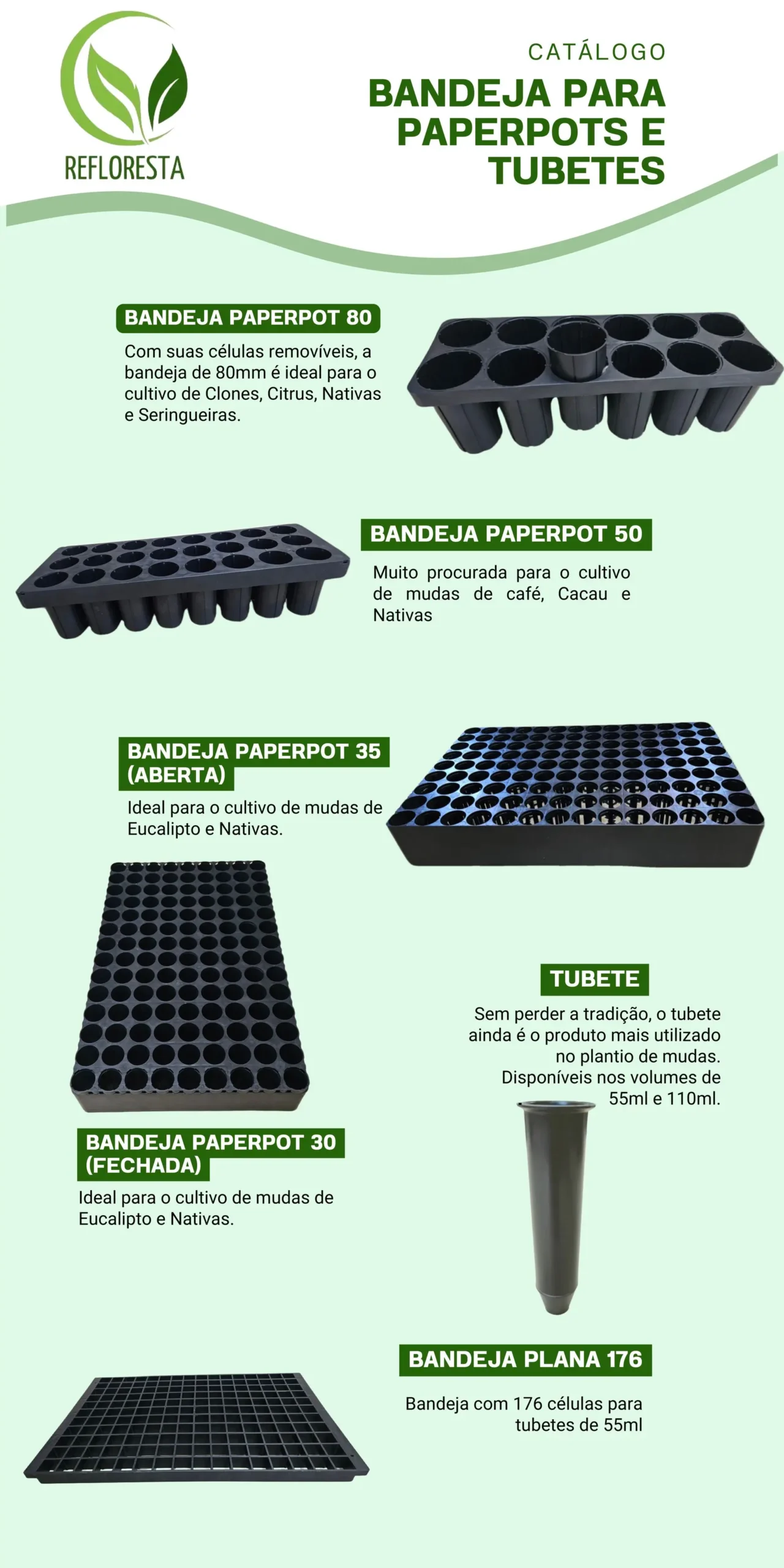 bandejas tubetes mudas reflorestamento (2)