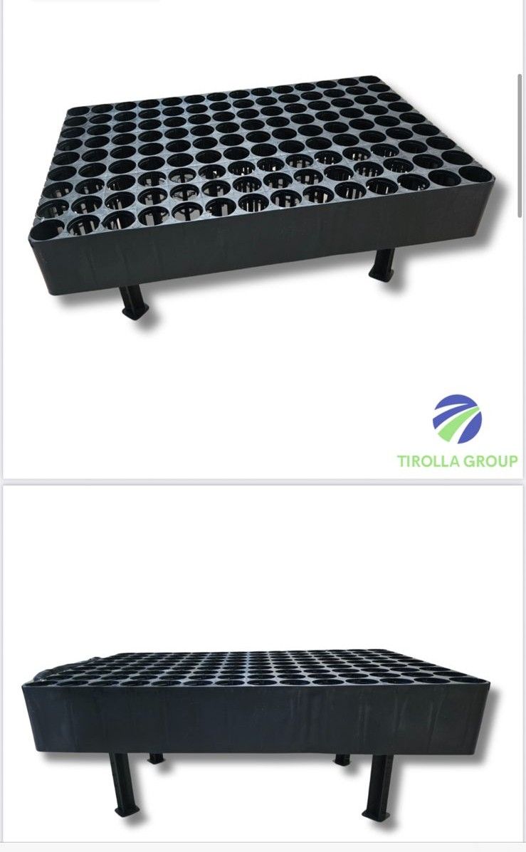 bandejas tubetes mudas reflorestamento (7)