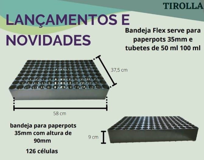 bandejas tubetes mudas reflorestamento (9)